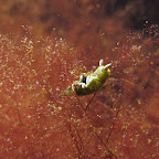IMG_5560.JPG