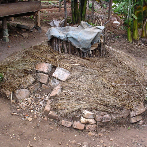 Some families have been trained in growing techniques like this keyhole garden.