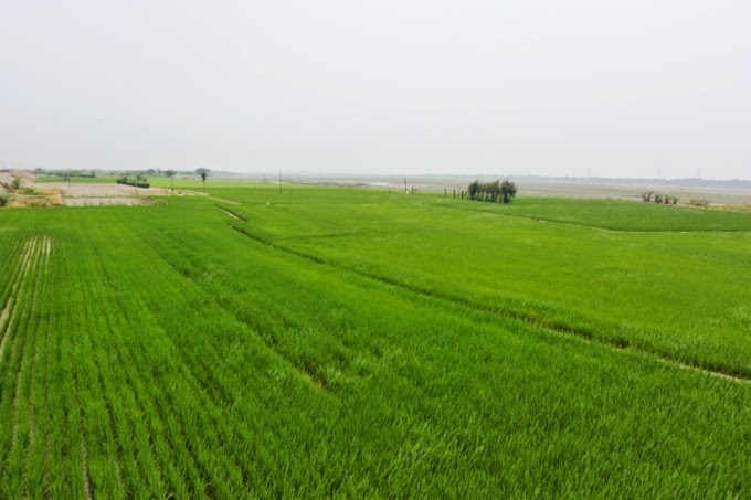 IMG_0847 IMG_0847