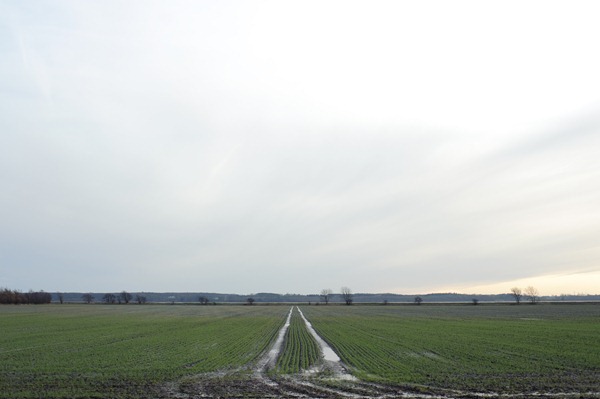 DSC_7257