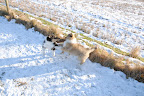 _DSC0010.JPG