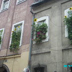 cute window boxes.JPG