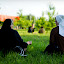 Justinos-22.jpg Justinos-22.jpg