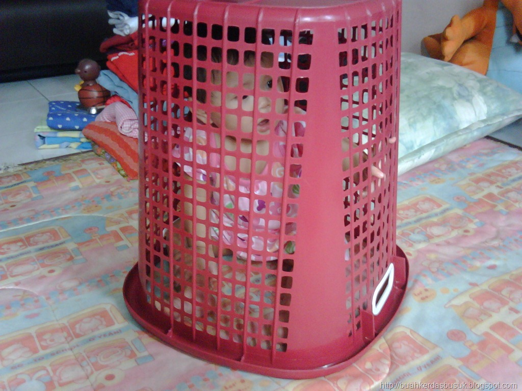 [IMG00826-20110626-1431%255B12%255D.jpg]