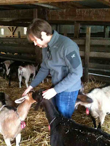 triple goat action!  todd's pretty popular in the loafing pen.