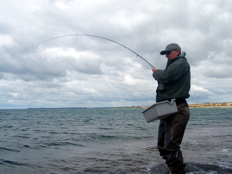 [P8120122%255B4%255D.jpg]