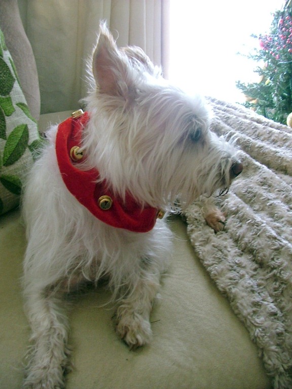 [xmas%2520eve%2520kayla%25203%255B5%255D.jpg]
