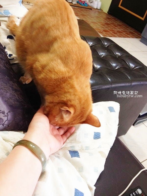 調整大小IMG_5809 調整大小IMG_5809