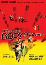 body body