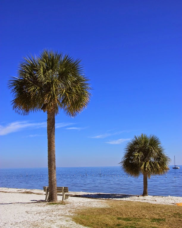 [Cedar-Key-Beach5.jpg]
