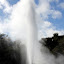Lady Knox Geyser - Waiotapu, New Zealand