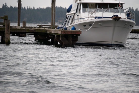 [DSC_3617%255B4%255D.jpg]