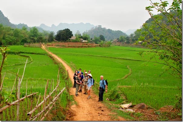 trekking-pu-luong