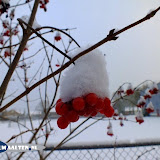 DSCF5570.jpg