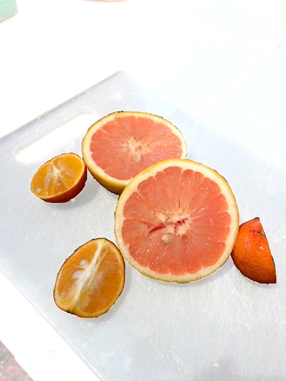 [grapgrapefruit%255B7%255D.jpg]