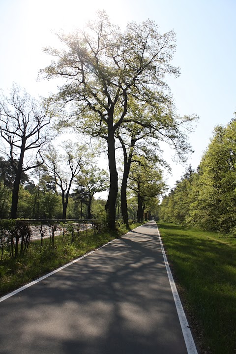 ... bike trail to Nurnberg ...