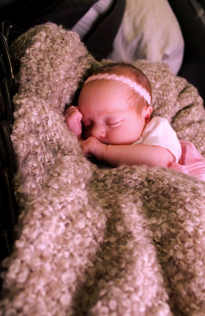 IMG_3743 IMG_3743
