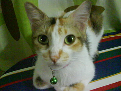 ...bells