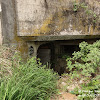 dsc00607.jpg