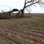 Farm Storm Damage - 2008