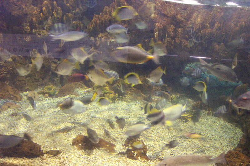 img_082.jpg