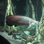 IMG_2799.JPG