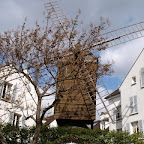20100405_093.JPG