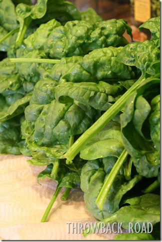spinach 025 spinach 025