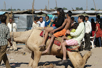 DSC05904.JPG