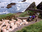Sprachaufenthalt Irland