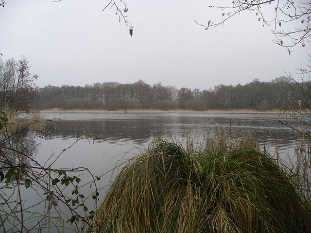 IMGP2228