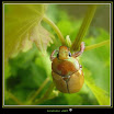 DeadBetlee-SAOct07-19Edtd.JPG