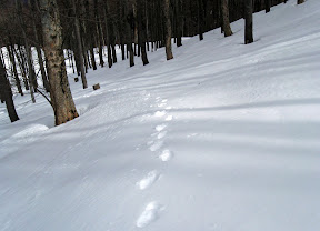 IMG_0915.jpg