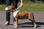 Karmacoma SUPERSTYLIN' 4 months