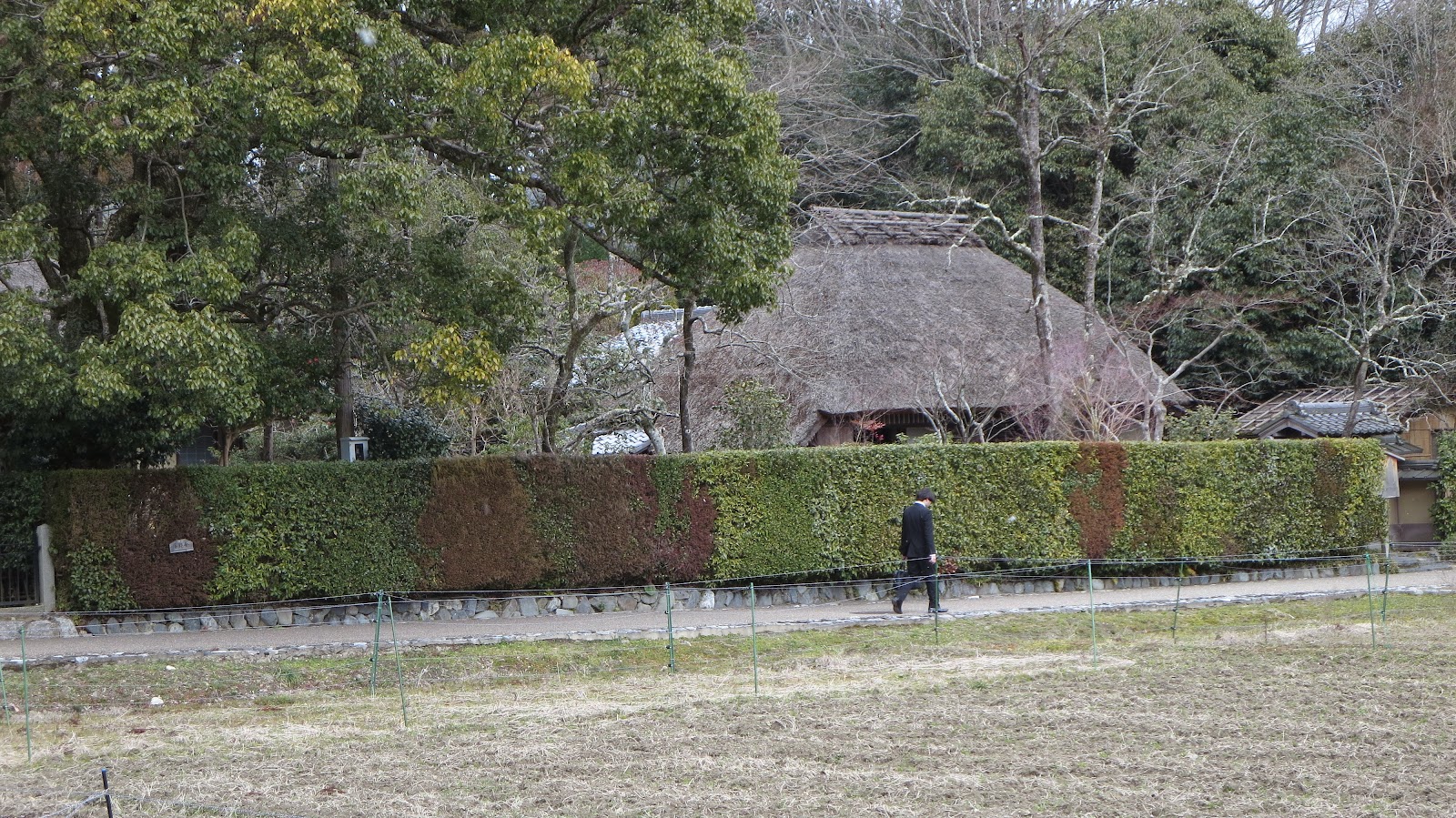 [IMG_2074%255B3%255D.jpg]