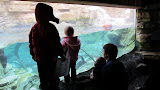 IMG_0011-2.JPG