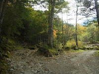 R0011829.JPG Photo