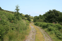 IMG_3374.jpg