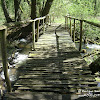 rz. Gryżynka -mostek obok ruin młyna dsc06303.jpg