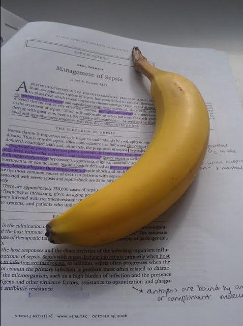 [banana2%255B4%255D.jpg]