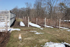 Pruning the Berry Patch
