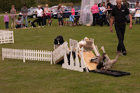 Kineton Quackers Kineton Quackers