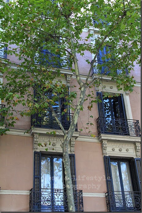 Home & Lifestyle Home & Lifestyle