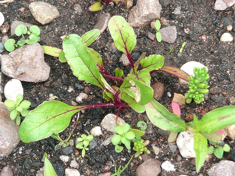 [P14108977.jpg]