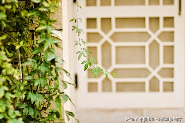 [20131214-IMG_4701_thumb2.jpg]