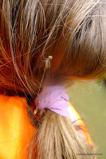 A dragonfly on Emma's hair.