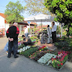 viragvasar_2010_02.jpg