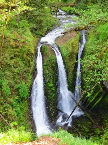 HikeHorsetailFallstoTripleFalls-22-2014-05-7-22-11.jpg