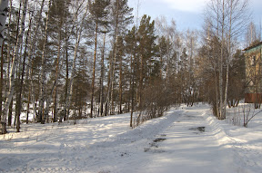 DSC_0184.jpg