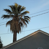 Click to view Van Nuys